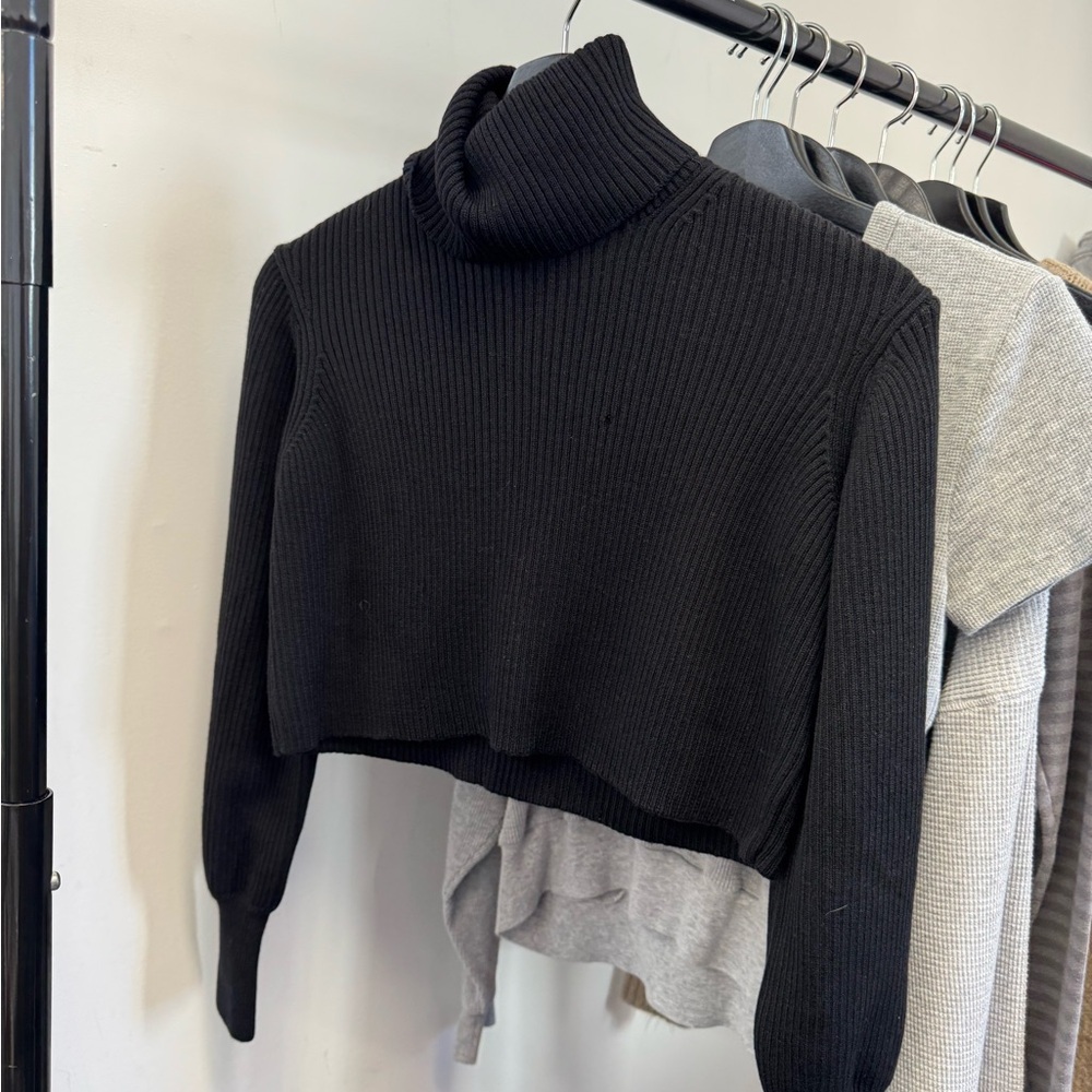 Aritzia Turtleneck Sweater